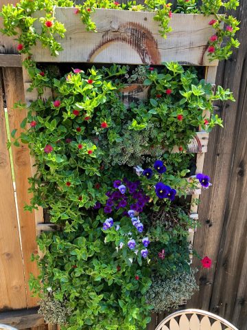 Pallet Garden Ideas